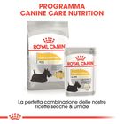 Royal Canin Dog Adult e Senior Mini Dermacomfort 3 kg