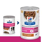 Hill's Prescription Diet Dog Gastrointestinal Biome Spezzatino con Pollo e Verdure 354 gr