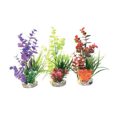 Sydeco Pianta decorativa Eucalyptus cm 22