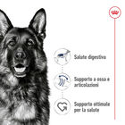 Royal Canin Dog Maxi Adult 15 kg+3 kg Omaggio