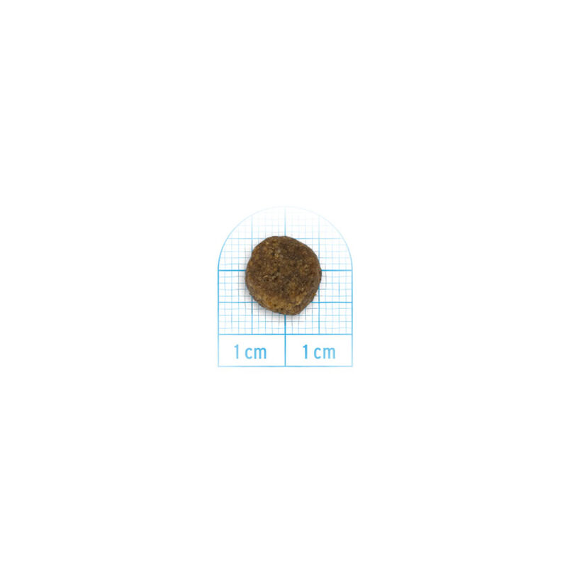 Forza10 Dog Mini Adult Cervo e Patate 2 kg