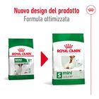Royal Canin Dog Mini Adult 8+ 2 kg