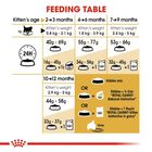 Royal Canin Cat Kitten Persian 400 gr