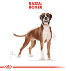 Royal Canin Dog Adult e Senior Boxer 3 kg - Scad. Dicembre 25
