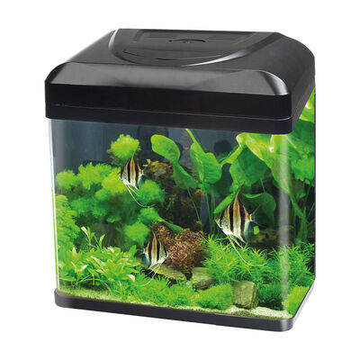 Blu Bios Acquario Billy 16 lt nero