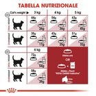 Royal Canin Cat Adult Sterilised Fit 32 10 + 2kg omaggio