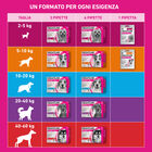 Frontline Tri-act antiparassitario cani 5-10 kg - 6 pipette