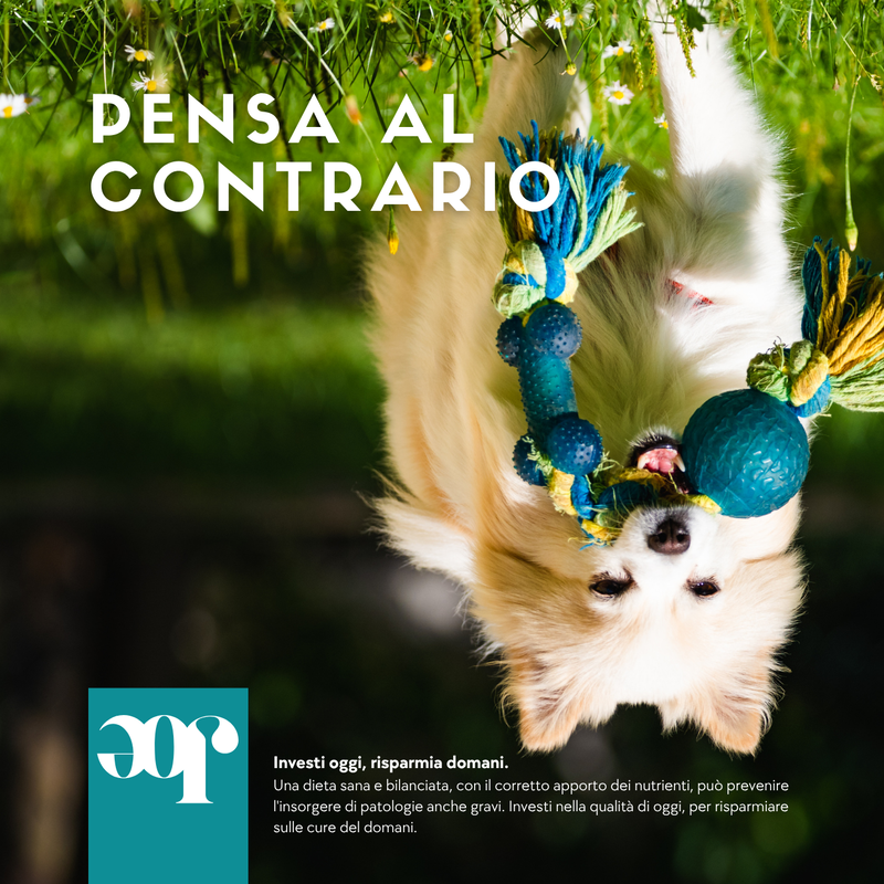 Joepet Dog Active Bio Veg Olio 250ml