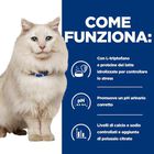 Hill's Prescription Diet Cat c/d Multicare Stress Pesce 8 kg