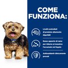 Hill's Prescription Diet Dog I/d 1,5 kg - Scad. Novembre 25