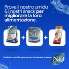 N&D Farmina Ocean Dog Adult Mini Merluzzo, Zucca & Arancia 2,5 kg