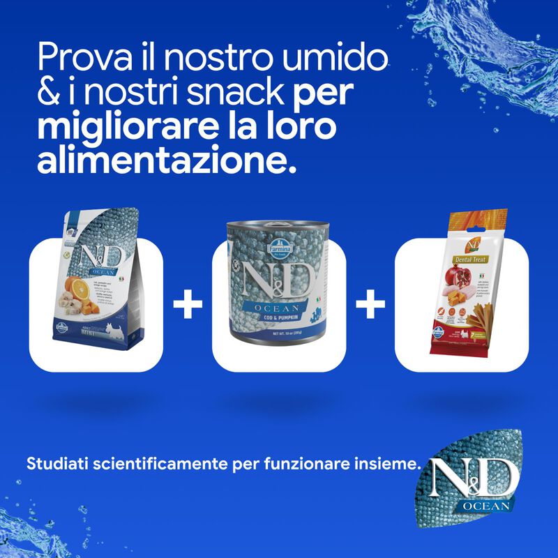 N&D Farmina Ocean Dog Adult Mini Merluzzo, Zucca & Arancia 2,5 kg