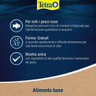 Tetra Goldfish Gold Colour 250 ml