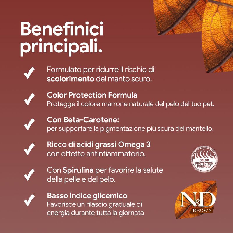 N&D Farmina Brown Coat Dog Adult Mini Agnello, Carote & Spirulina 2 kg