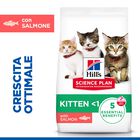 Hill's Sience Plan Kitten al Salmone 1,5 kg