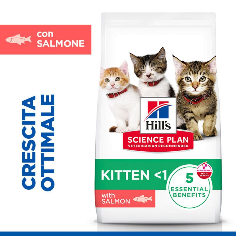 Hill's Sience Plan Kitten al Salmone 1,5 kg