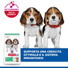 Hill's Science Plan Dog Puppy Medium con Agnello e Riso 14 kg