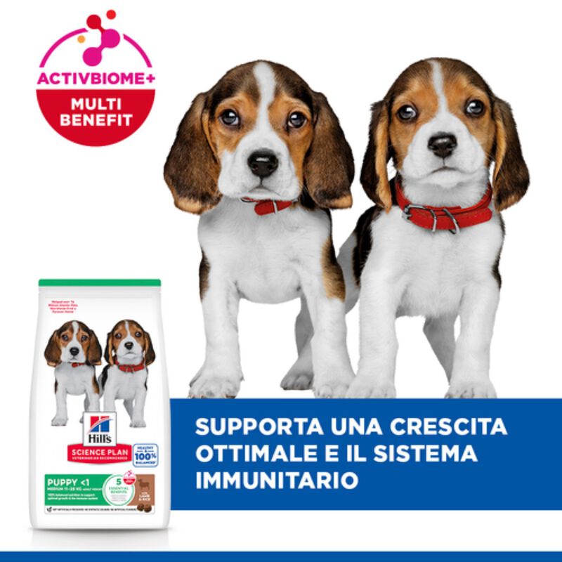 Hill's Science Plan Dog Puppy Medium con Agnello e Riso 14 kg