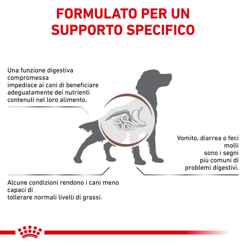 Royal Canin Veterinary Diet Dog Gastrointestinal Low Fat 1,5 kg