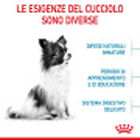Royal Canin Dog Puppy X-Small 500 gr