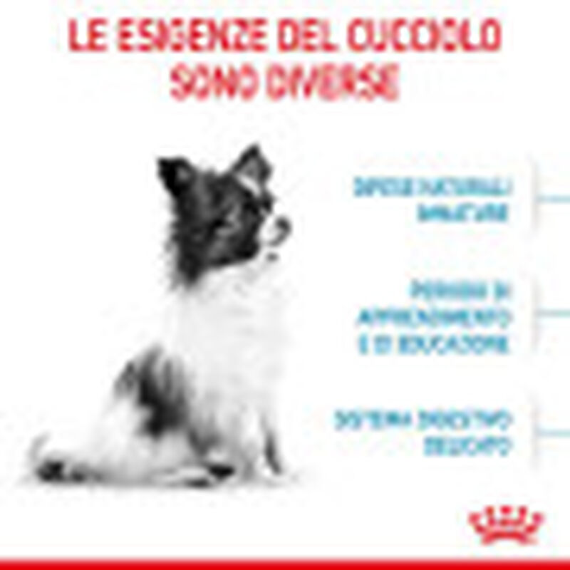 Royal Canin Dog Puppy X-Small 500 gr