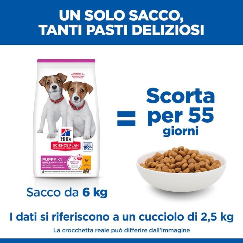 Hill's Science Plan Dog  Small & Mini Puppy al Pollo 300 gr