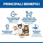 Hill's Science Plan Cat Kitten al Pollo 300 gr