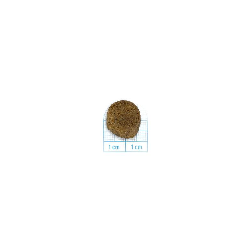 Forza10 Dog Adult Maxi Maintenance con Cervo e patate 12kg