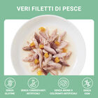 Schesir Cat Tonnetto con Zucca in brodo 70 gr