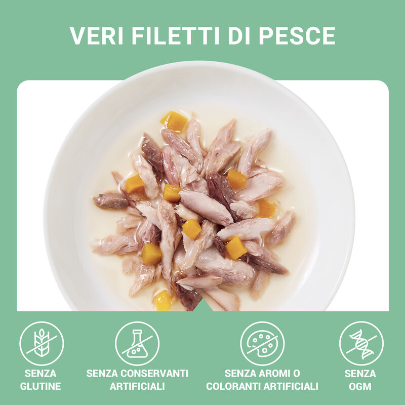 Schesir Cat Tonnetto con Zucca in brodo 70 gr
