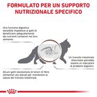Royal Canin Veterinary Diet Cat Gastrointestinal Fiber Response 2 kg