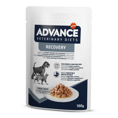 Advance Veterinary Diets Dog and Cat  Recovery 100 gr