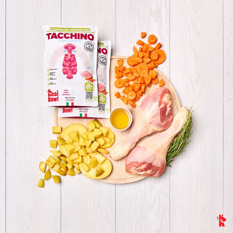 Real Bowl Cibo umido per cani adulti Tacchino 400 gr