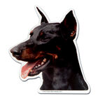 Camon Vetrofanie Dobermann image number 0
