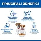 Hill's Science Plan Dog  Small & Mini Puppy al Pollo 300 gr