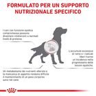 Royal Canin Veterinary Diet Dog Hepatic 1,5 kg