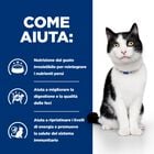 Hill's Prescription Diet i/d Cibo umido per gatti adulti con Pollo 85 gr