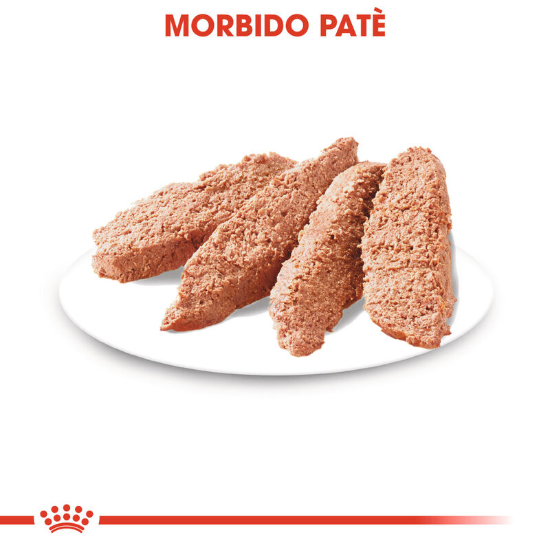 Royal Canin Dog Adult Dermacomfort 85 gr