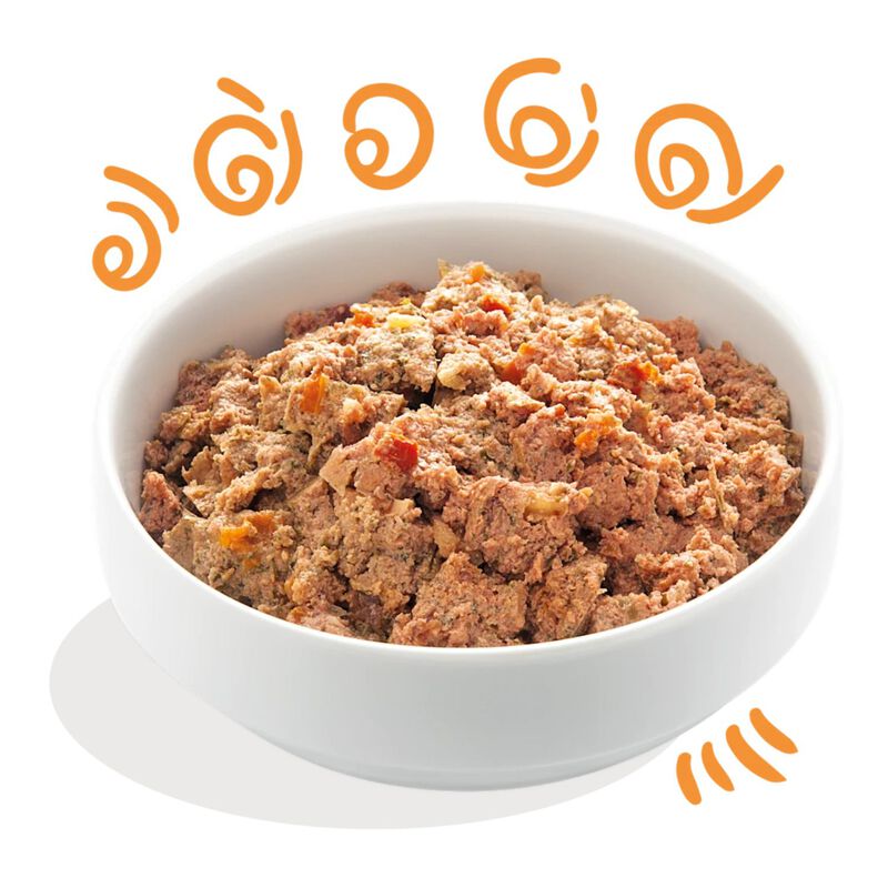 Edgard & Cooper Dog Adult Agnello e Pollo 300 gr x 4