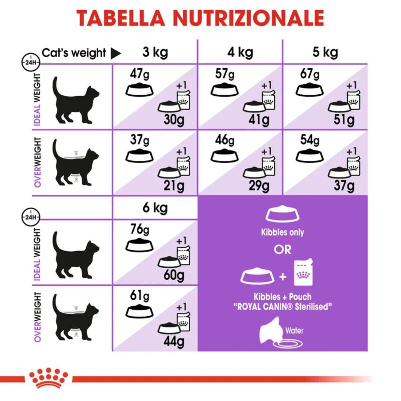 Royal Canin Cat Adult Sterilised 37 10 + 2kg omaggio