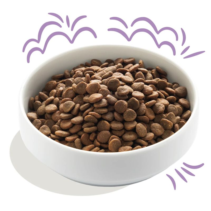 Edgard & Cooper Dog Puppy Salmone e Tacchino 2,5 kg