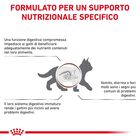 Royal Canin Veterinary Diet Cat Kitten Gastrointestinal 2 kg