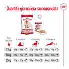 Royal Canin Dog Adult 7+ Medium 15 kg  