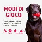 Kong AirDog Osso Sonoro per cani Tg L Giallo