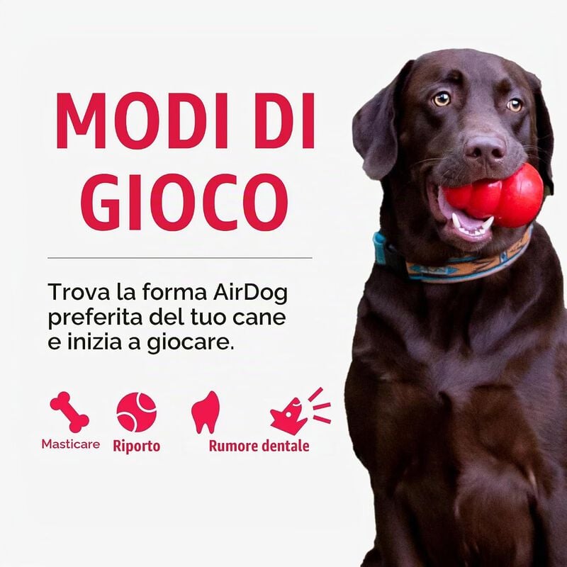 Kong AirDog Osso Sonoro per cani Tg L Giallo
