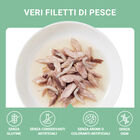 Schesir Cat Tonnetto con Alicette in brodo 70 gr