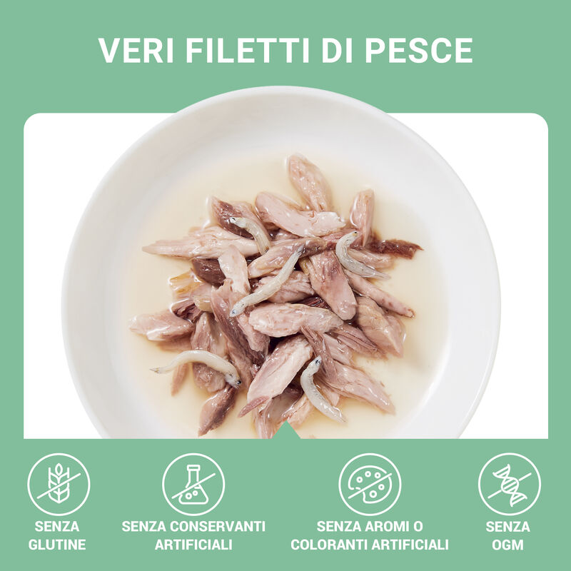 Schesir Cat Tonnetto con Alicette in brodo 70 gr