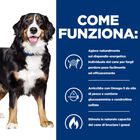 Hill's Prescription Diet Dog j/d Metabolic + Mobility al Pollo 370 gr