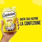Catisfactions Snack per Gatto con Erba Gatta 180 gr