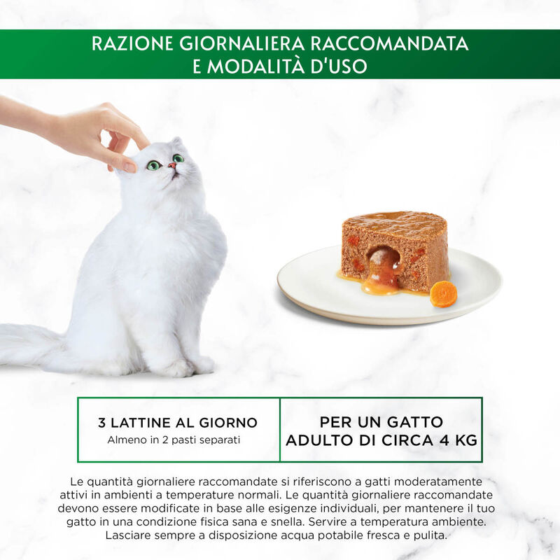 Gourmet Nature's Creation Cat Mousse Cuore di Salsa Pesce dell'Oceano e Spinaci 85 gr